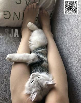 tvb云播放_高清高清完整版